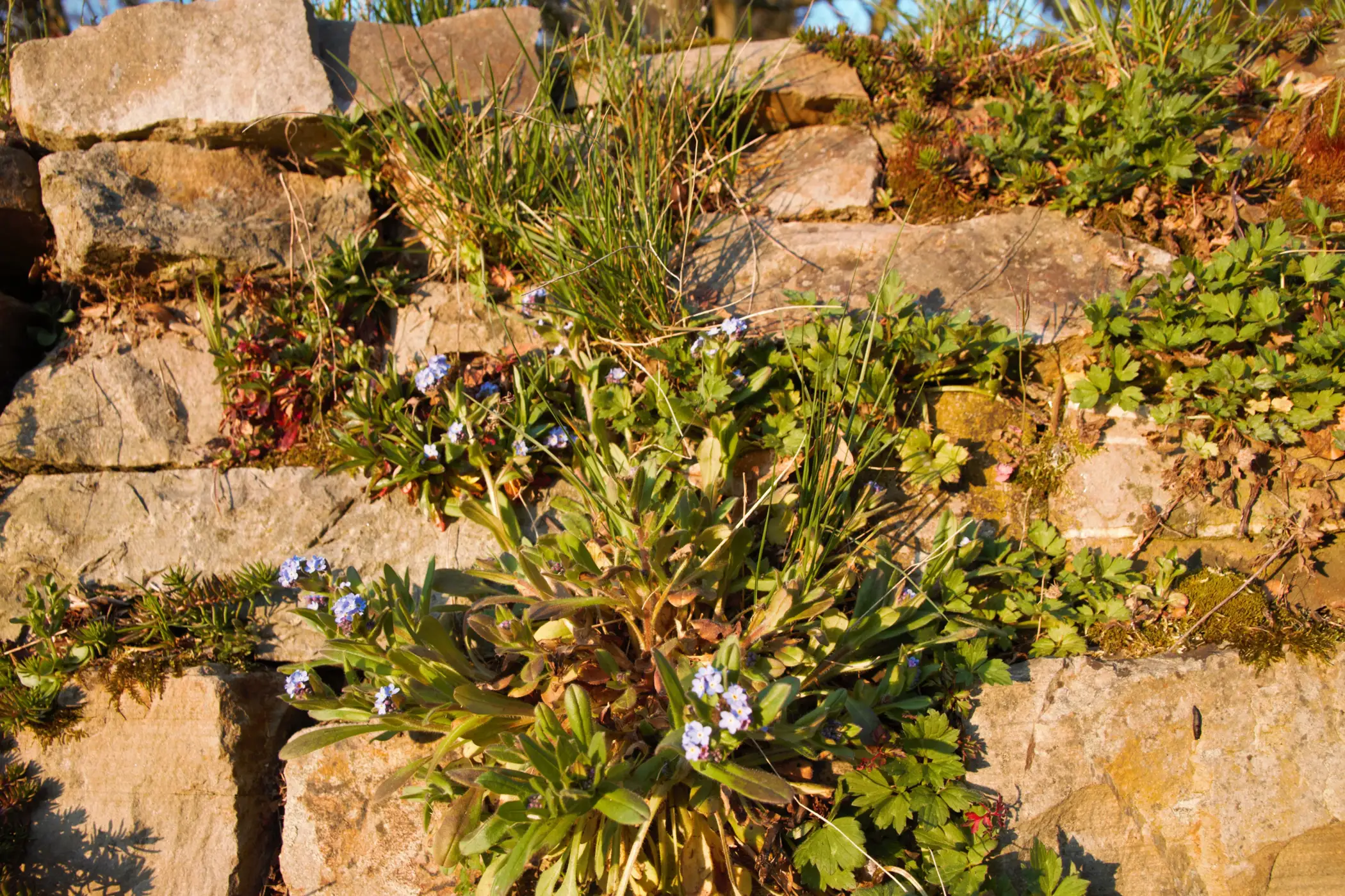 Cottage for 5 people in La Roche-en-Ardenne Le Chalet Pointu du Bout du Monde